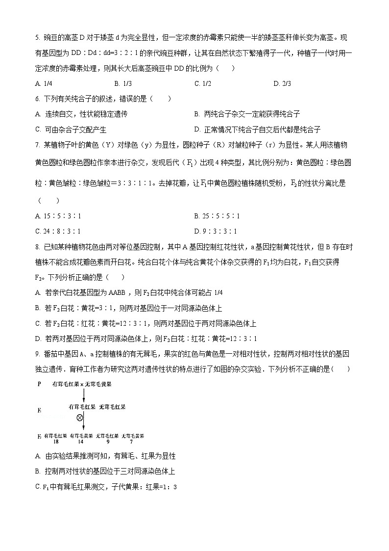 河南省新乡市一中2022-2023学年高一3月月考生物试题第2页