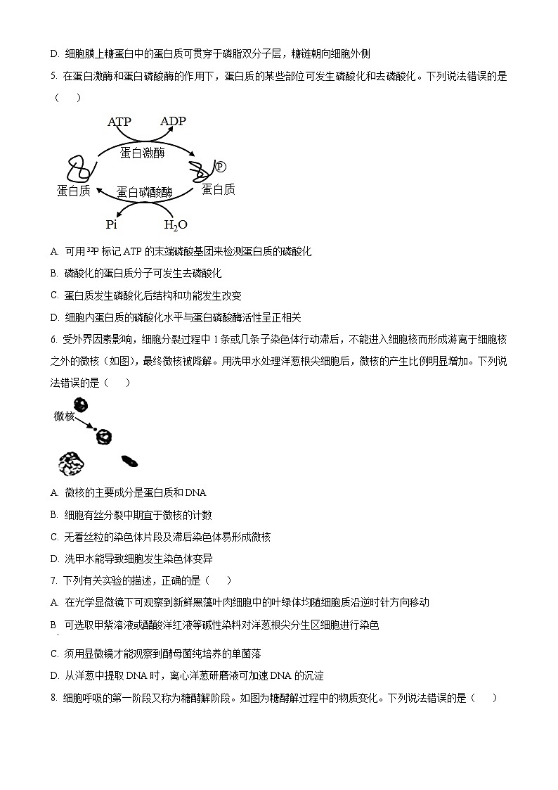 山东省淄博市2022-2023学年高二下学期期末生物试题（原卷版）02