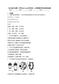 四川省泸县第一中学2023-2024学年高一上学期期中考试生物试卷(含答案)