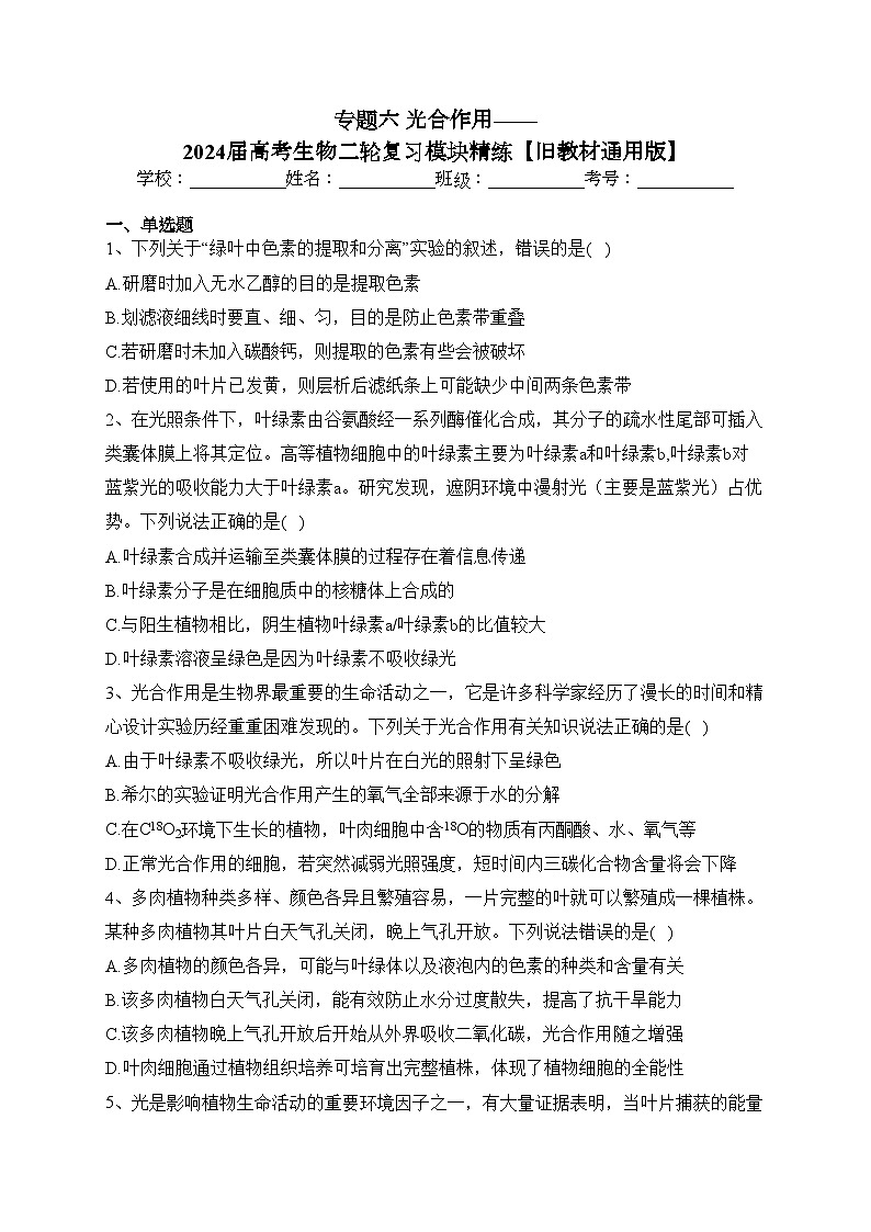 专题六 光合作用——2024届高考生物二轮复习模块精练【旧教材通用版】(含答案)第1页