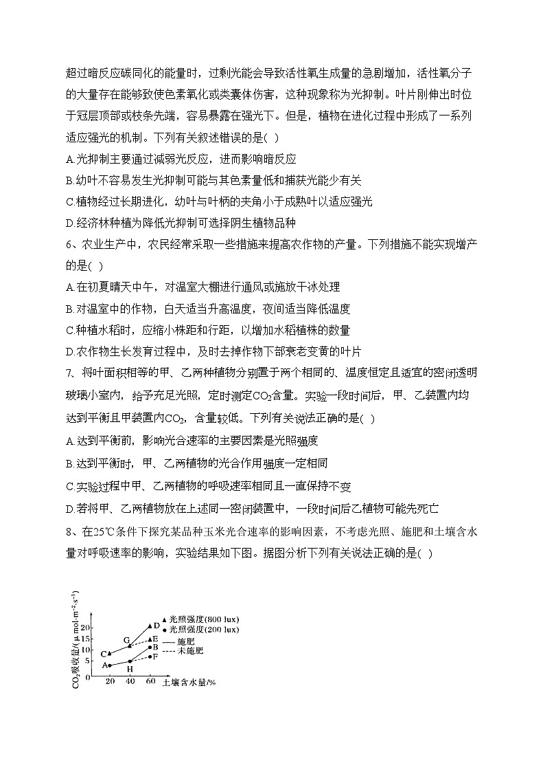 专题六 光合作用——2024届高考生物二轮复习模块精练【旧教材通用版】(含答案)第2页