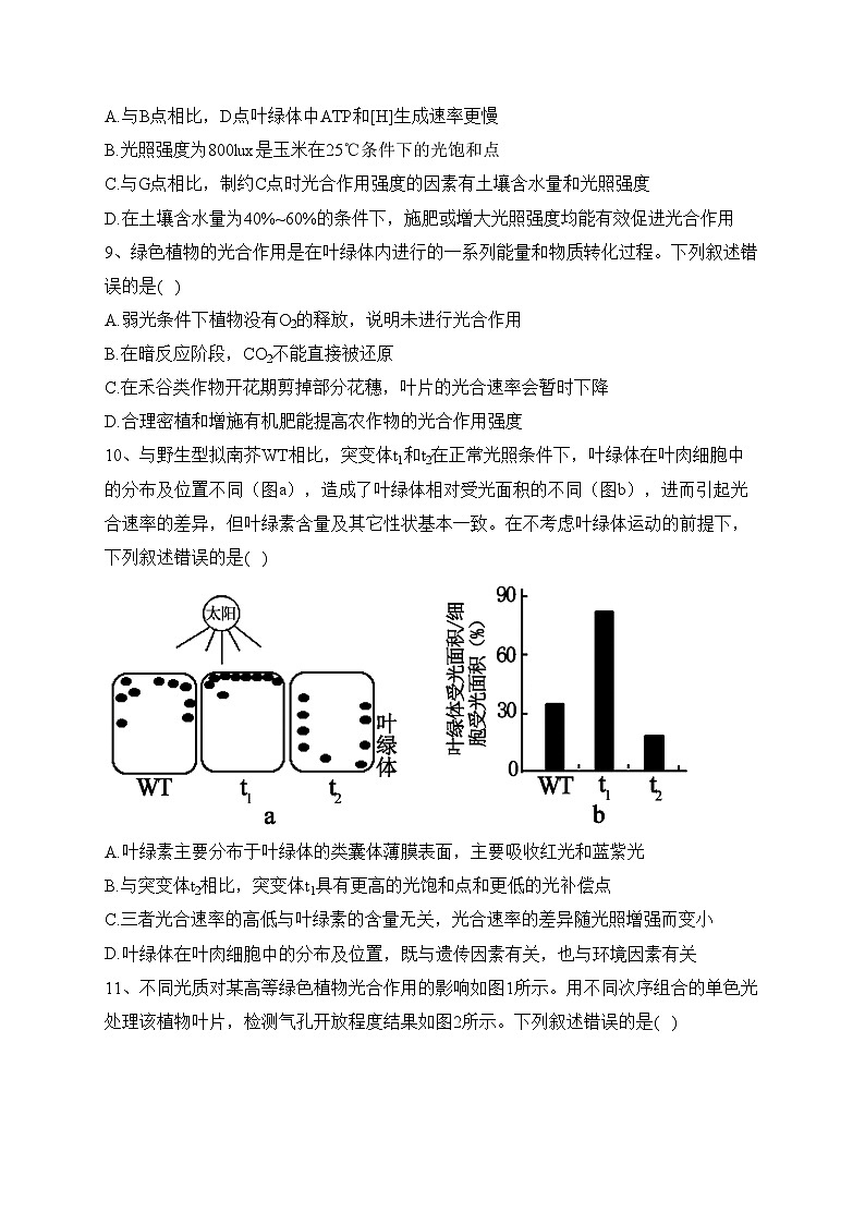 专题六 光合作用——2024届高考生物二轮复习模块精练【旧教材通用版】(含答案)第3页