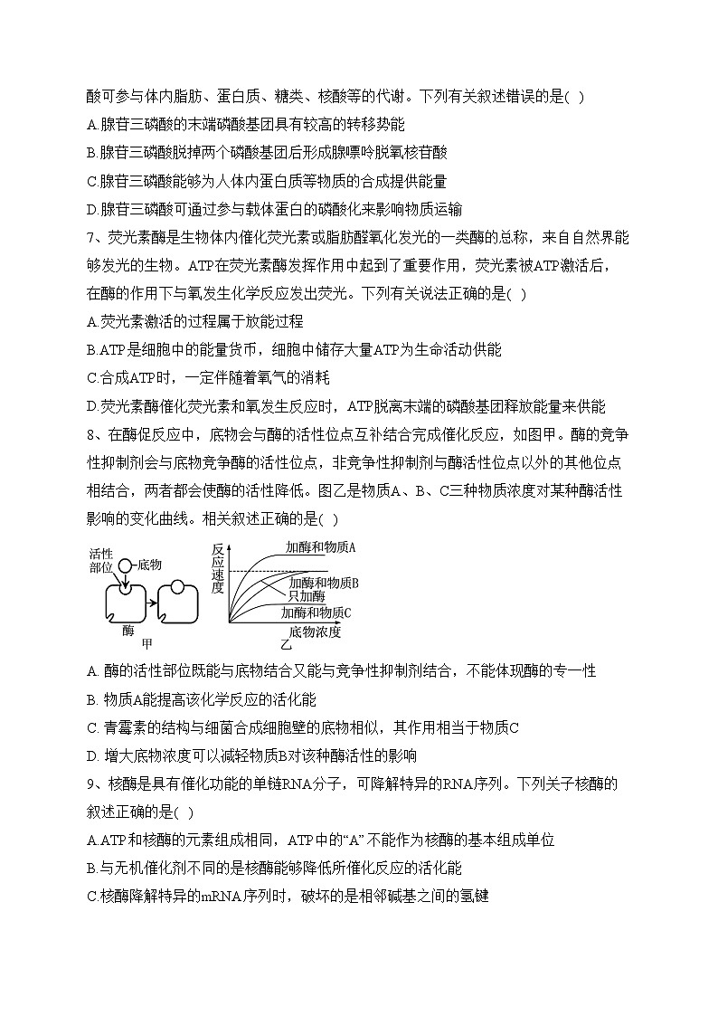 专题四 酶与ATP——2024届高考生物二轮复习模块精练【旧教材通用版】(含答案)第3页