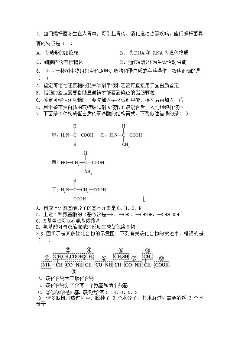天津经济技术开发区第二中学2023-2024学年高一上学期期中考试生物试题第2页
