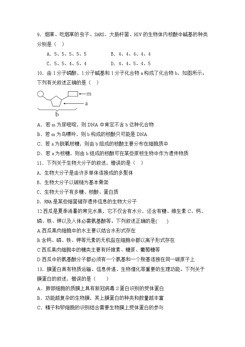 天津经济技术开发区第二中学2023-2024学年高一上学期期中考试生物试题第3页