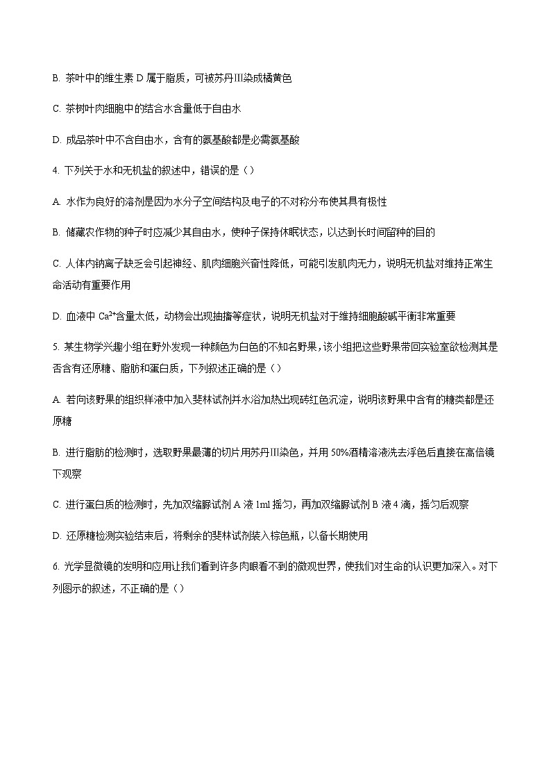 2023-2024学年福建省厦门第一中学高一上学期第一次适应性练习生物含答案02