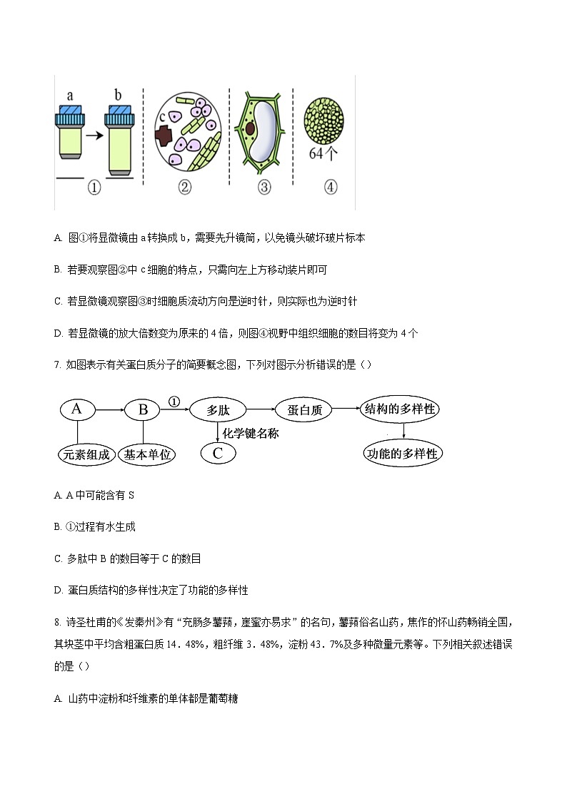 2023-2024学年福建省厦门第一中学高一上学期第一次适应性练习生物含答案03
