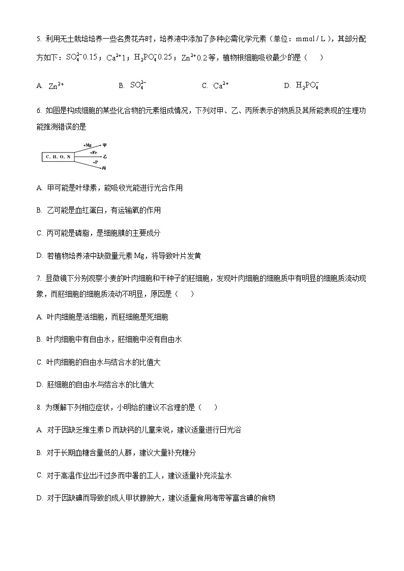 2023-2024学年湖南省株洲市攸县三中高一上学期第一次质量检测生物试题含答案02