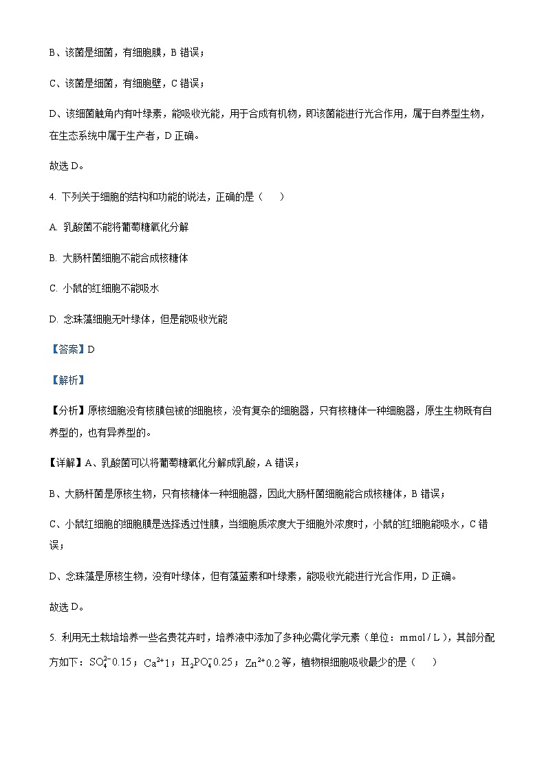 2023-2024学年湖南省株洲市攸县三中高一上学期第一次质量检测生物试题含答案03