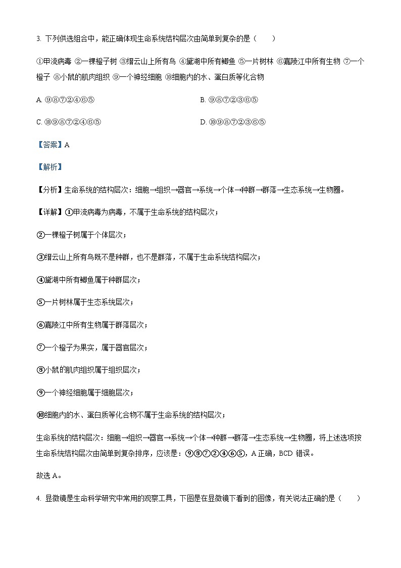 重庆市育才中学校2023-2024学年高一上学期拔尖强基联合定时检测（一） 生物试题 Word版含解析第3页