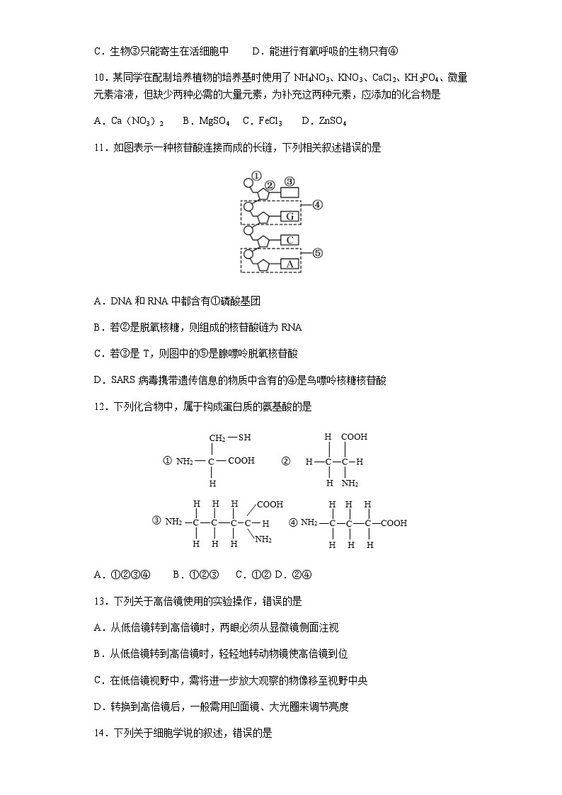 2023-2024学年湖北省荆州中学高一上学期10月月考试题生物含答案第3页