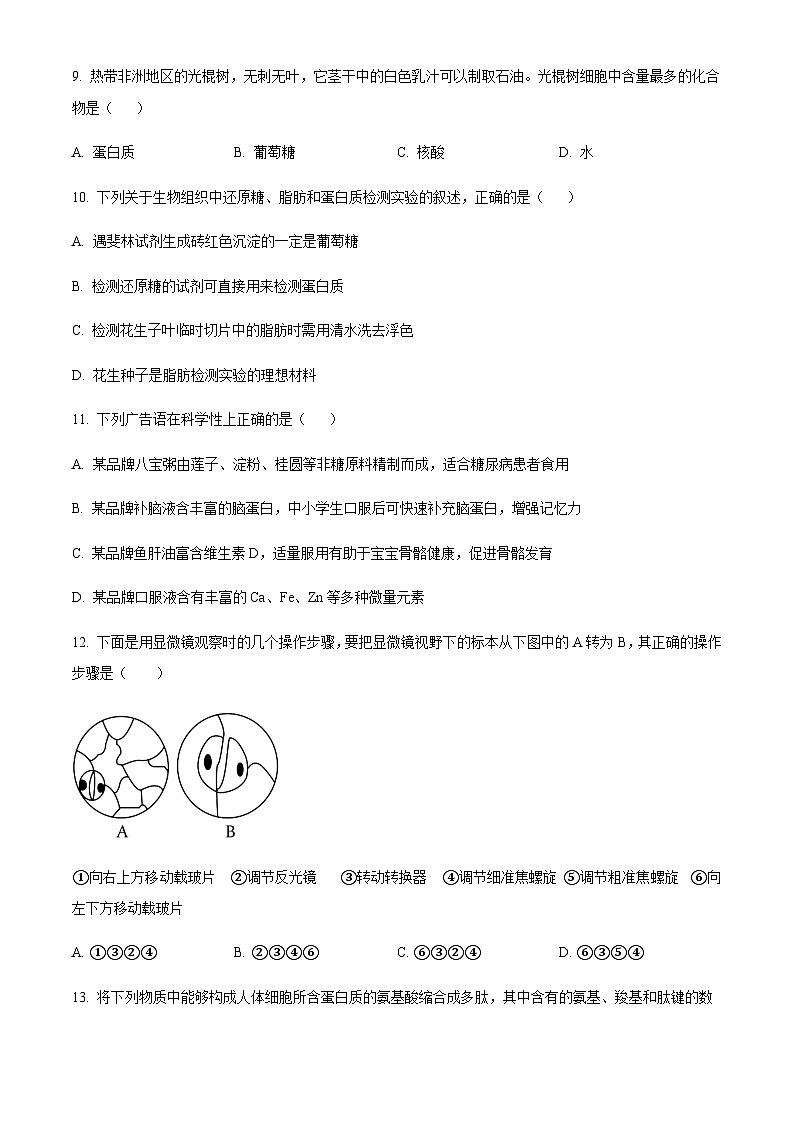 宁夏中卫市中宁县第一中学2022-2023学年高一上学期10月月考生物试题（原卷版）第3页