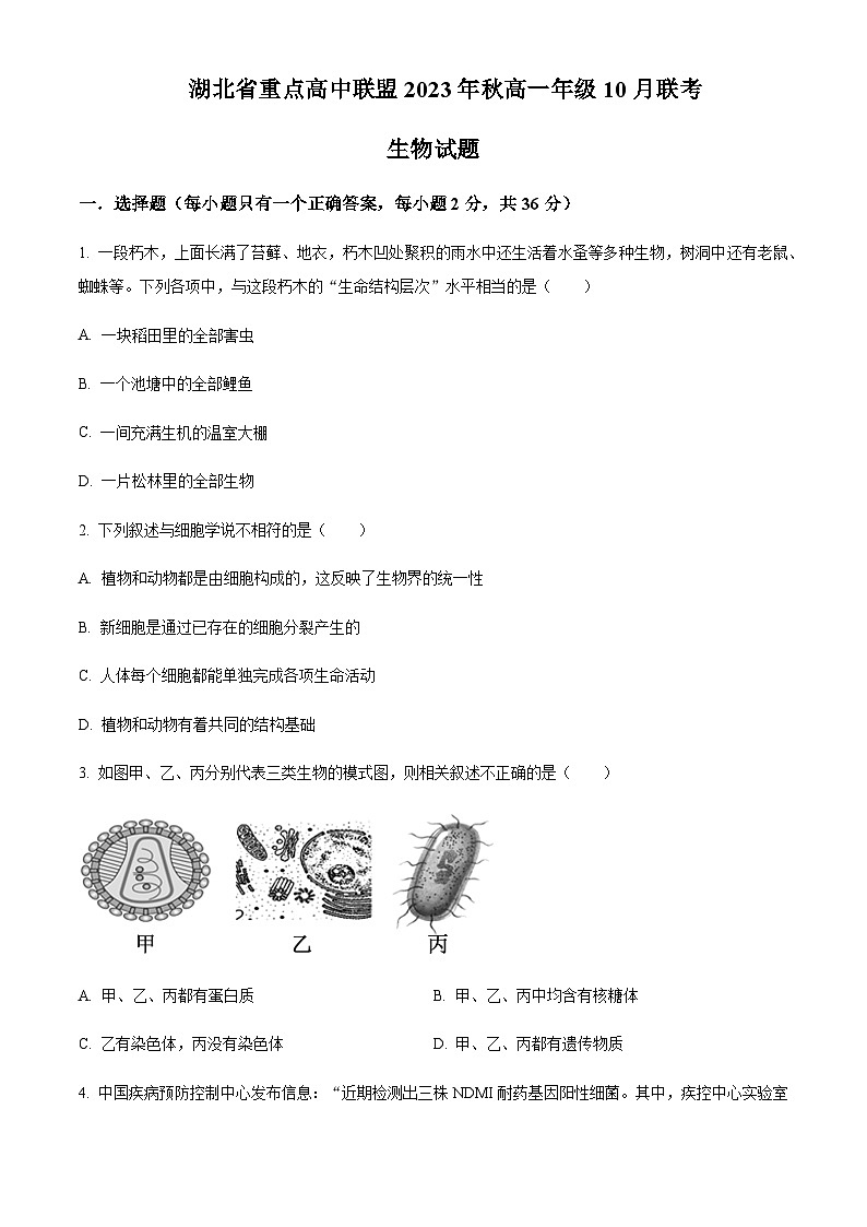 2023-2024学年湖北省重点高中智学联盟高一上学期10月联考生物试题含答案01