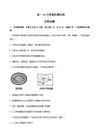 2023-2024学年江苏省镇江一中地区高一上学期10月月考生物word版含答案