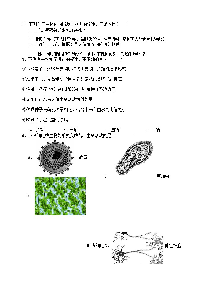 2023-2024学年辽宁省大连二十四中滨城高中联盟高一上学期10月月考试题生物含答案03