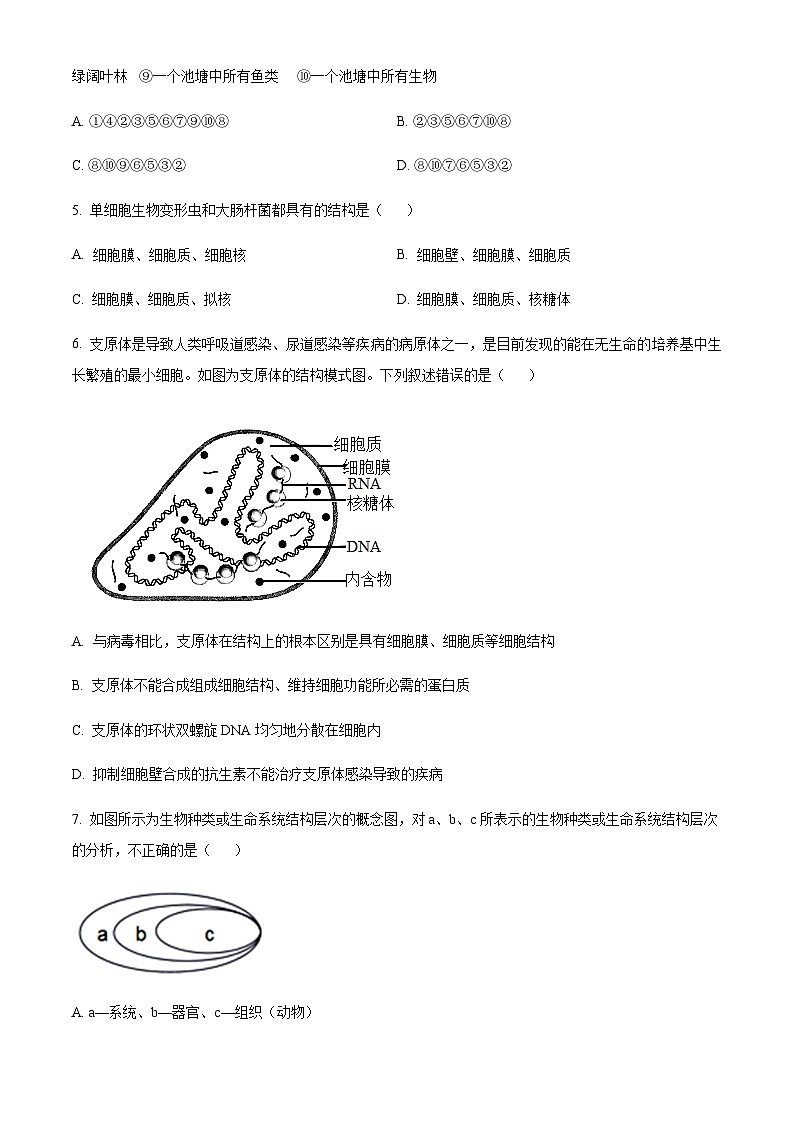 2023-2024学年四川省成都市七中高一上学期10月月考生物试题含答案02