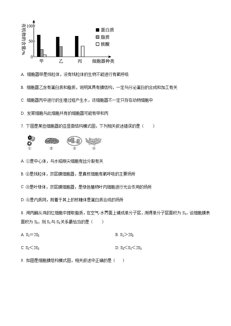 2023-2024学年四川省达州市万源中学高一上学期10月月考生物试题含答案03