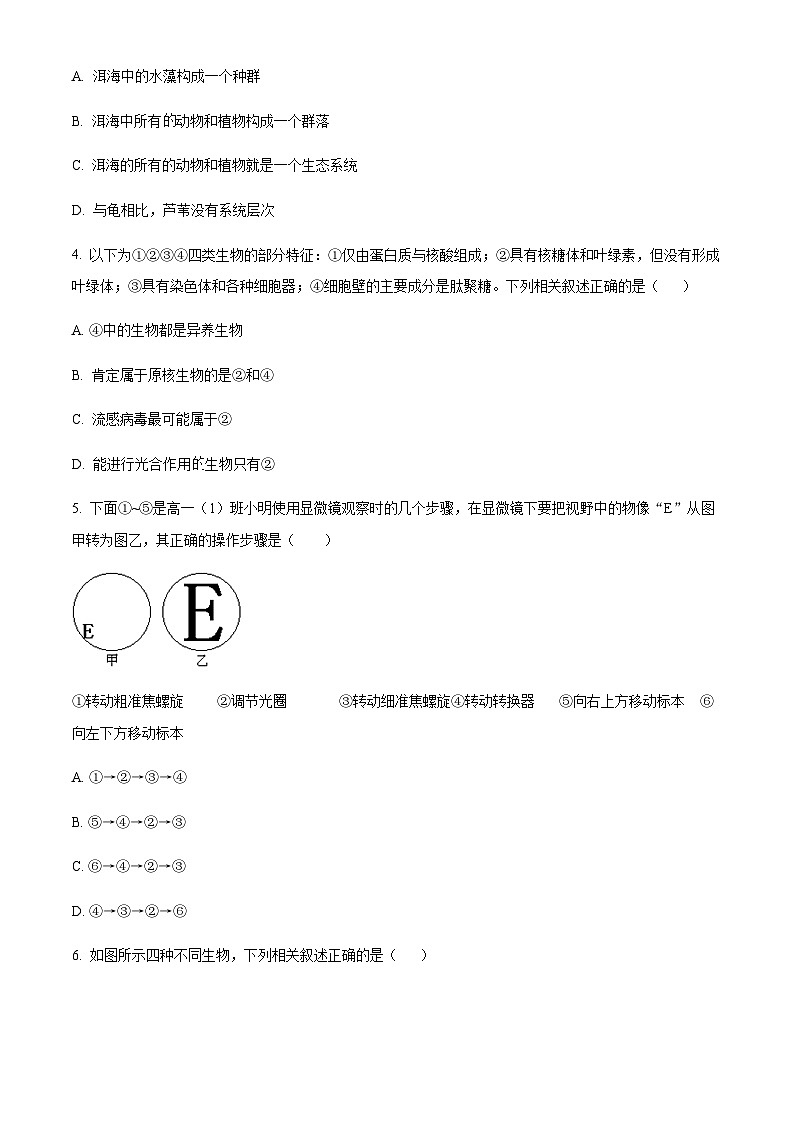 2023-2024学年四川省绵阳南山中学实验学校高一上学期10月月考生物试题含答案02