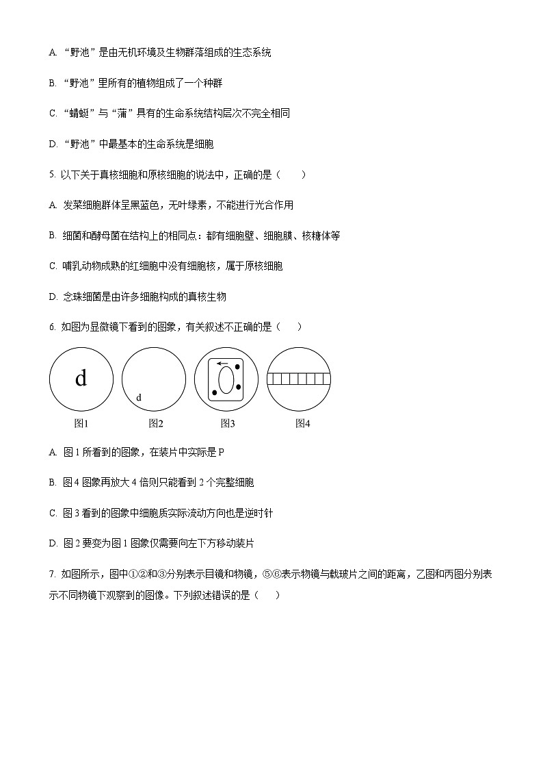 四川省仁寿第一中南校区2023-2024学年高一10月第二次质量检测生物试题  Word版无答案第2页