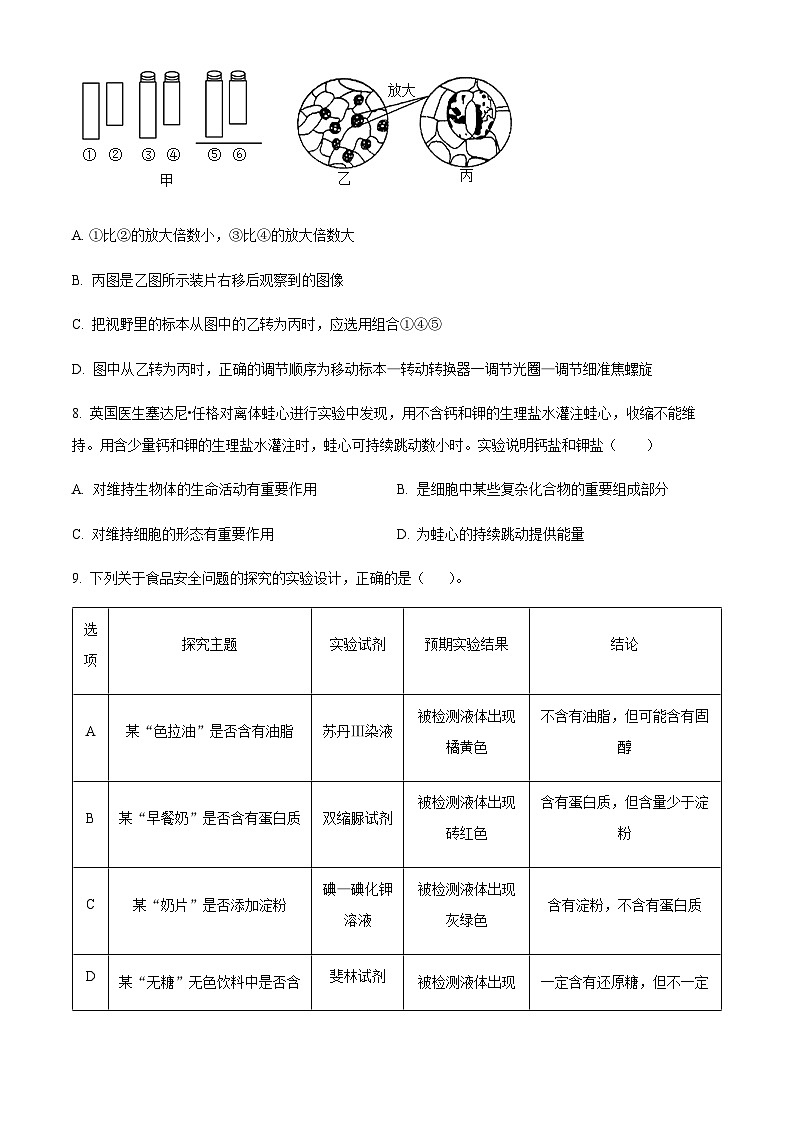 四川省仁寿第一中南校区2023-2024学年高一10月第二次质量检测生物试题  Word版无答案第3页