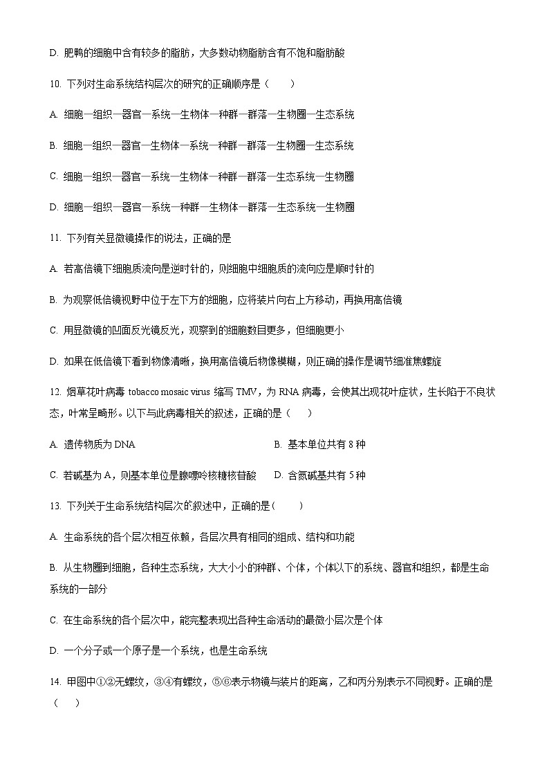 2023-2024学年四川省资阳市乐至中学高一上学期10月月考生物试题含答案03