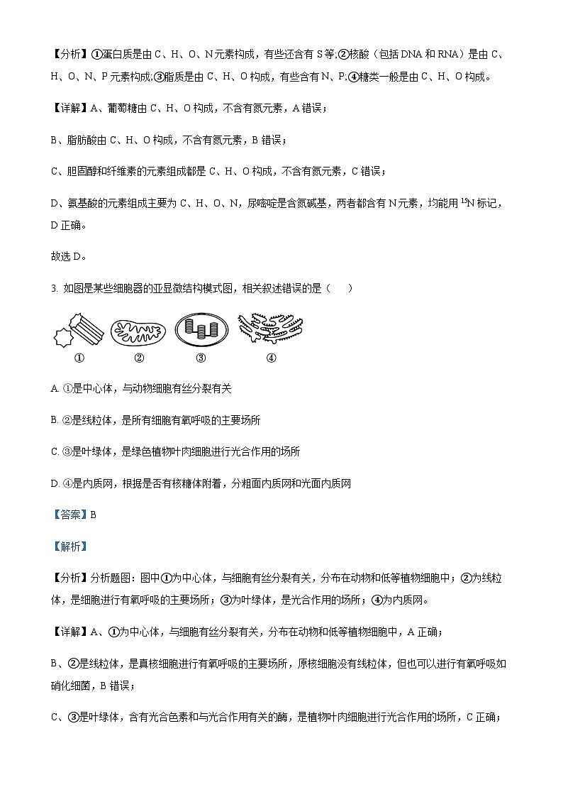 2023-2024学年天津市北辰区华辰学校高一上学期10月月考生物试题含答案02