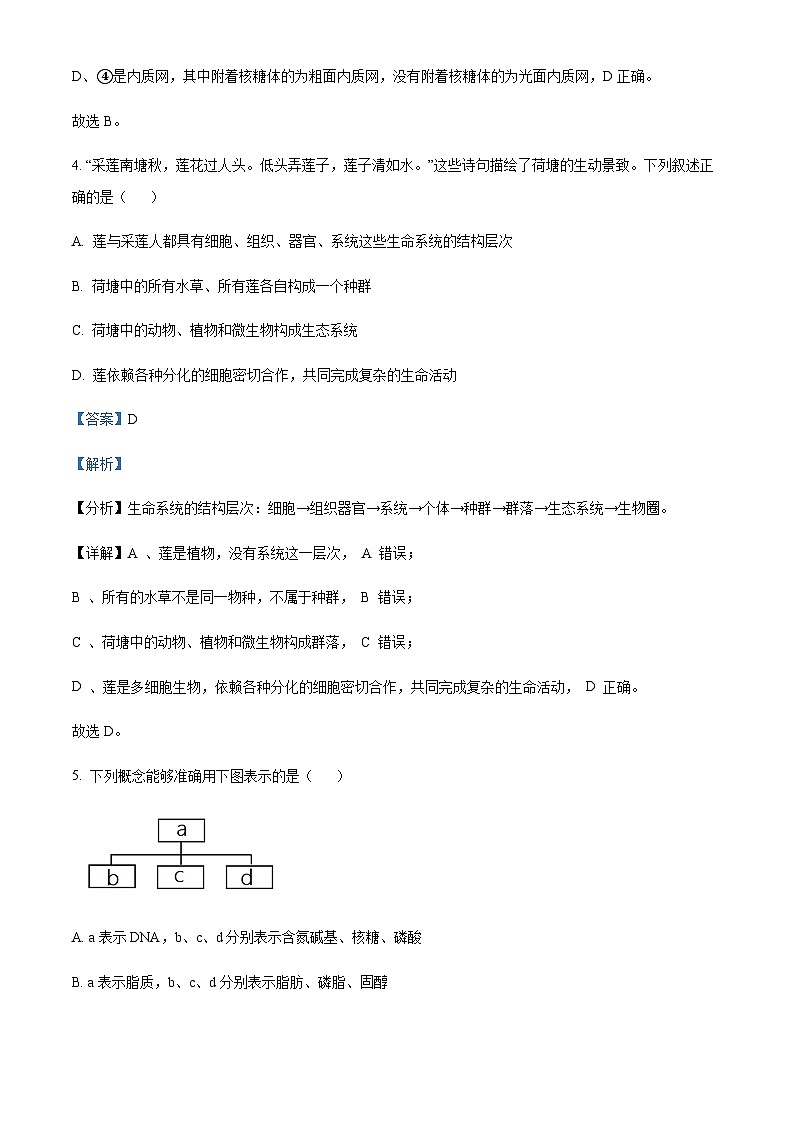 2023-2024学年天津市北辰区华辰学校高一上学期10月月考生物试题含答案03