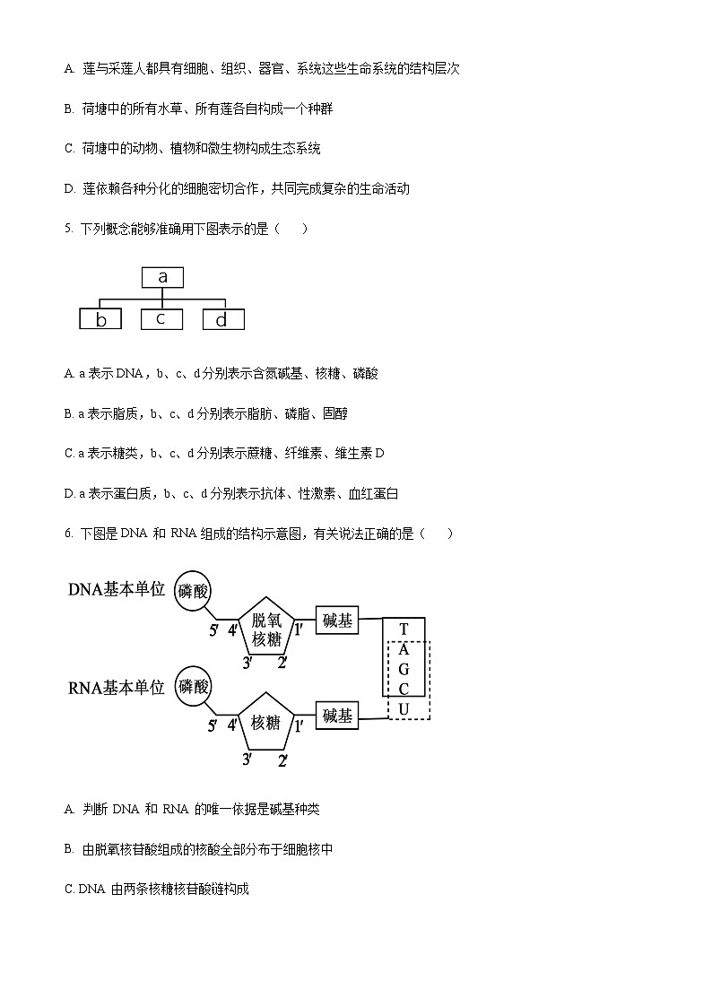 2023-2024学年天津市北辰区华辰学校高一上学期10月月考生物试题含答案02