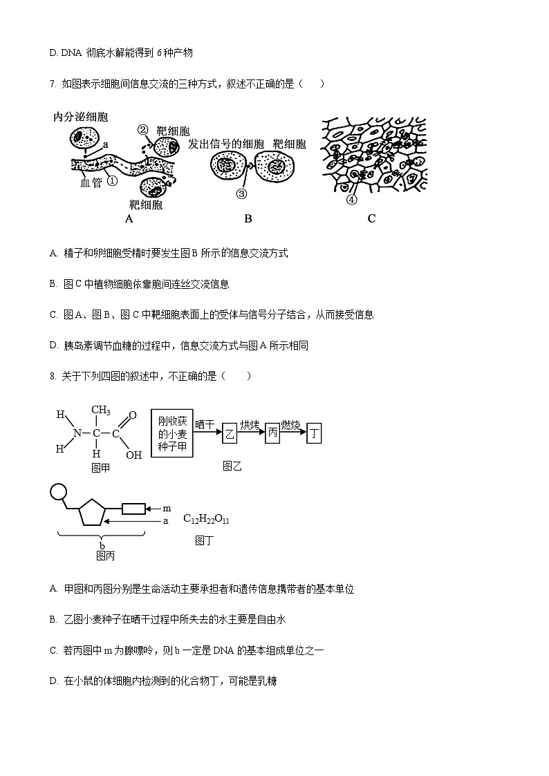 2023-2024学年天津市北辰区华辰学校高一上学期10月月考生物试题含答案03