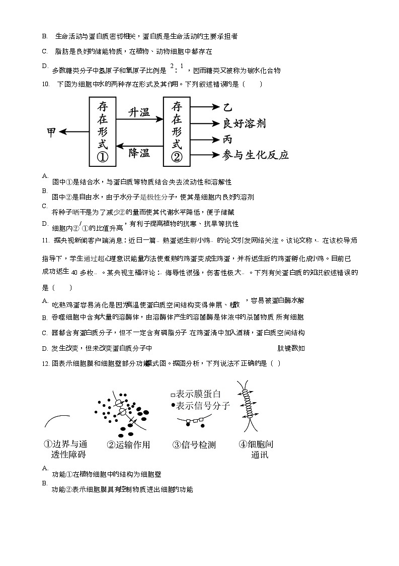 2023-2024学年福建省泉州市德化二中高一11月期中生物试题含答案03