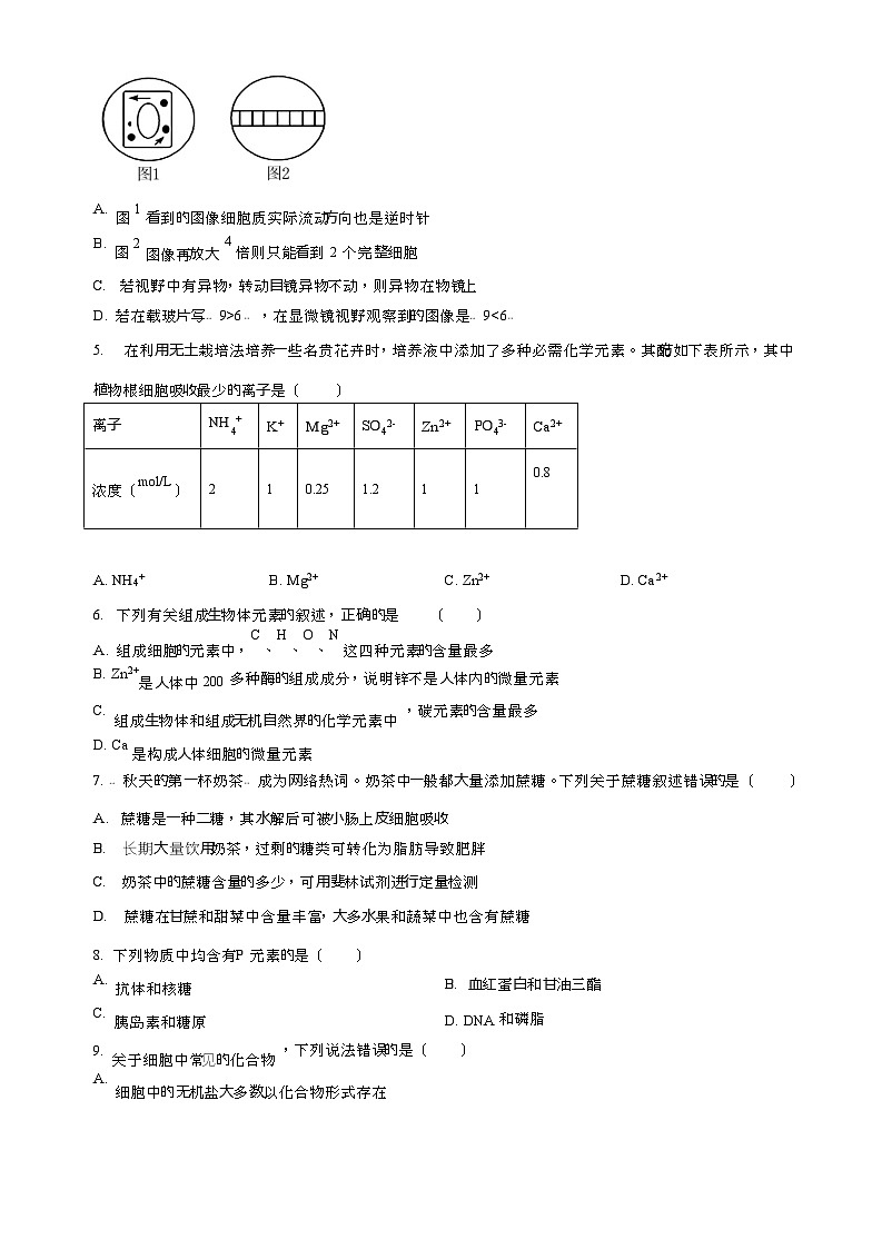 2023-2024学年福建省泉州市德化二中高一11月期中生物试题含答案第2页