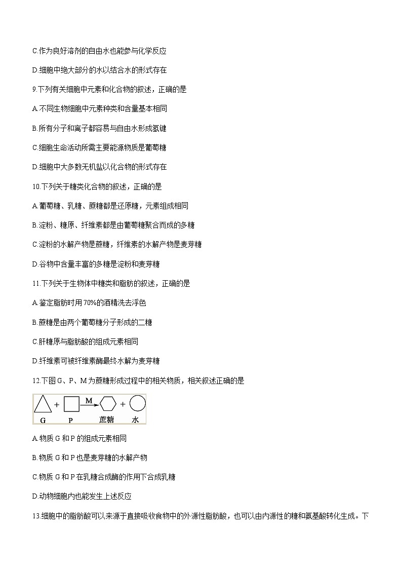 2023-2024学年广东省深圳市实验中学联盟校高一上学期11月期中考试生物含答案03