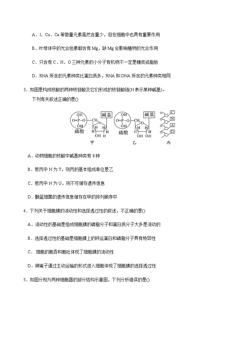 2023-2024学年吉林省长春外国语学校高一上学期11月期中考试生物含答案02