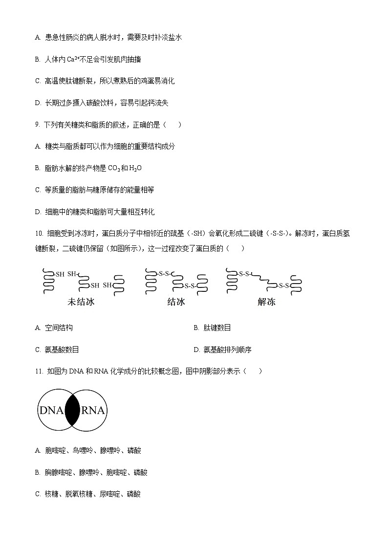 2023-2024学年江苏省徐州市高一上学期11月期中考试生物含答案03