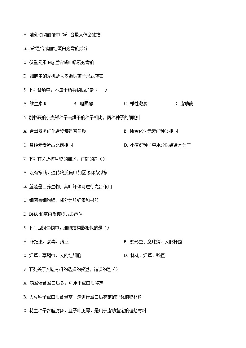 2023-2024学年江苏省泰州市姜堰中学高一上学期11月期中考试生物含答案02