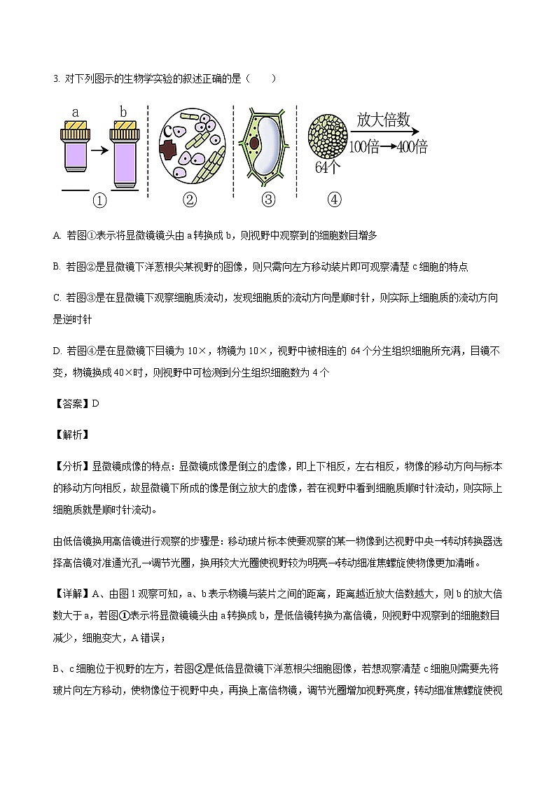 2023-2024学年江西省南昌市第一中学高一上学期11月期中考试生物含答案03