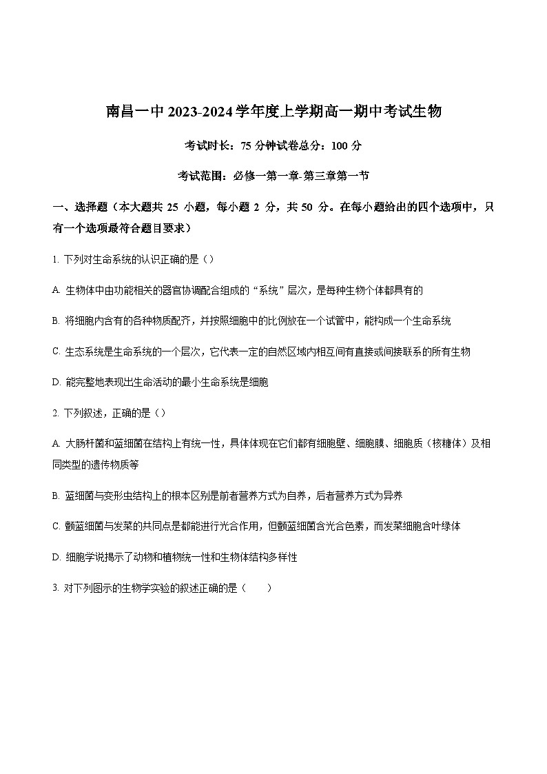 2023-2024学年江西省南昌市第一中学高一上学期11月期中考试生物含答案01
