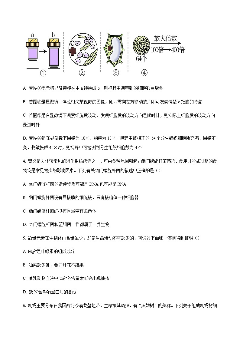 2023-2024学年江西省南昌市第一中学高一上学期11月期中考试生物含答案02