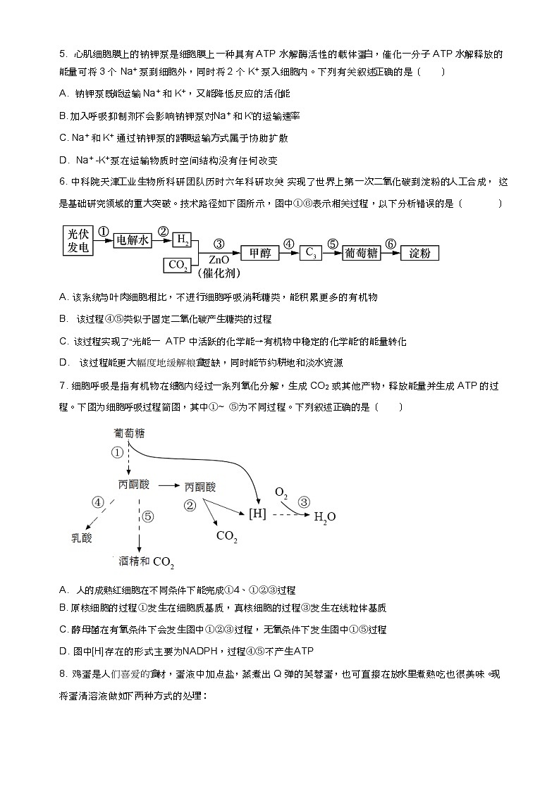 2023-2024学年江西省宜春中学五校高一11月期中生物试题含答案第2页