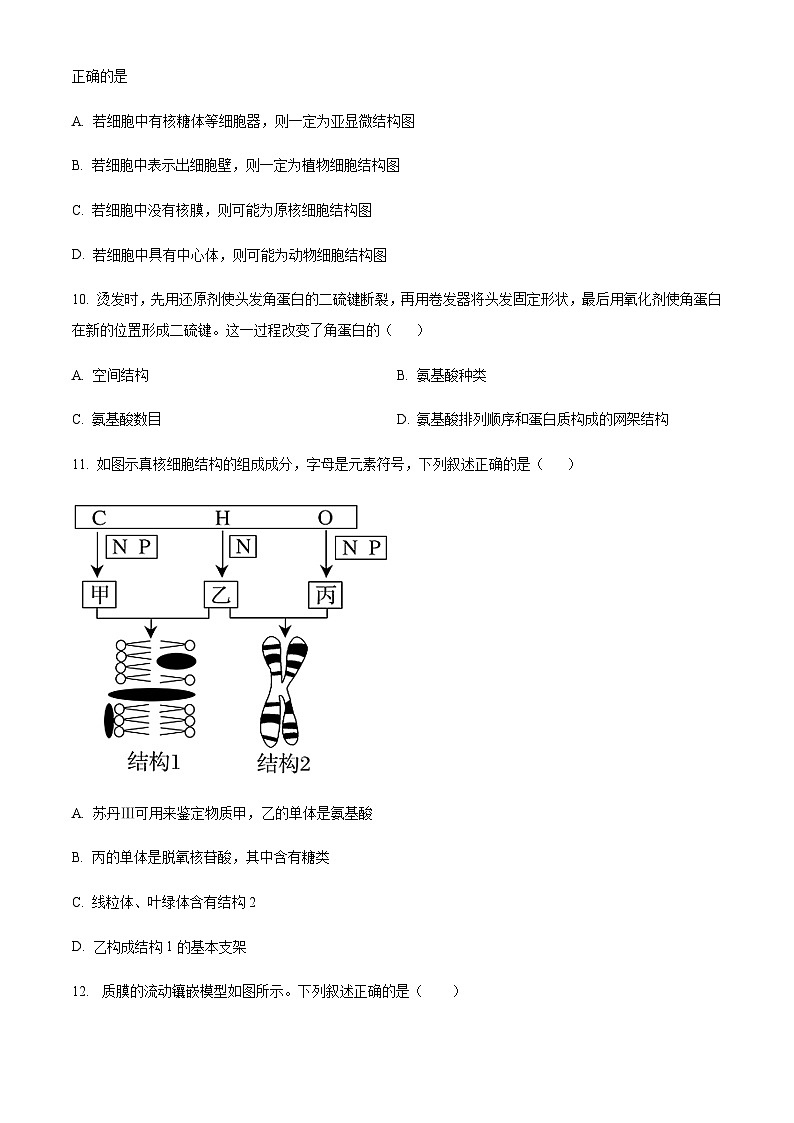 四川省眉山市仁寿第一中南校区2023-2024学年高一11月期中生物试题  Word版无答案第3页