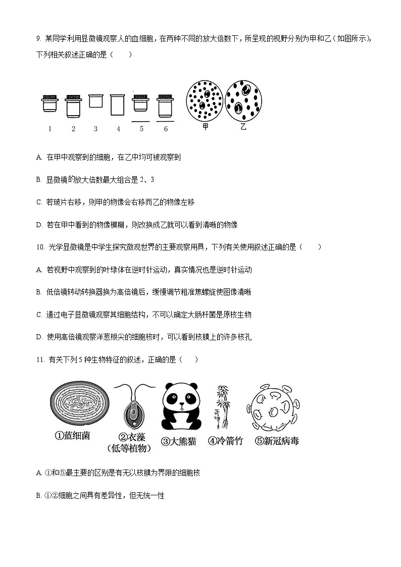 2023-2024学年新疆石河子第一中学高一上学期9月月考生物试题含答案03