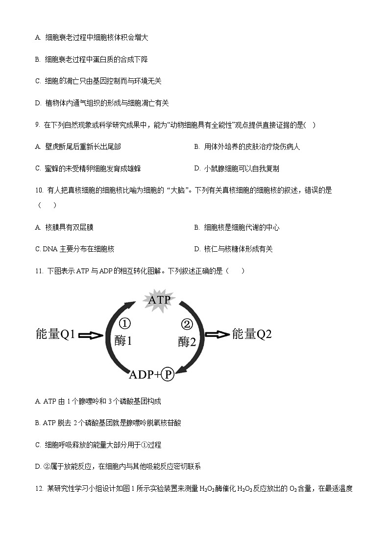 浙江省湖州市安吉县高级中学2023-2024学年高一上学期（创新班）9月考生物试题  Word版无答案第3页