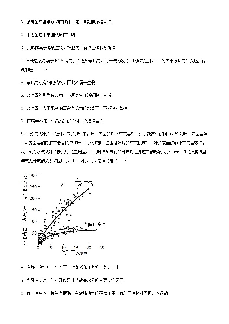 2023-2024学年湖南省永州市第一中学高一上学期第一次月考生物试题含答案02