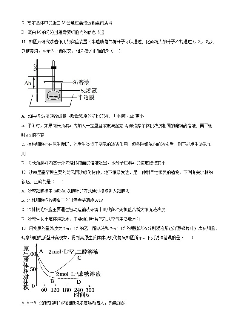 新疆乌鲁木齐市六十一中2023-2024学年高三上学期第一次月考生物试题无答案第3页