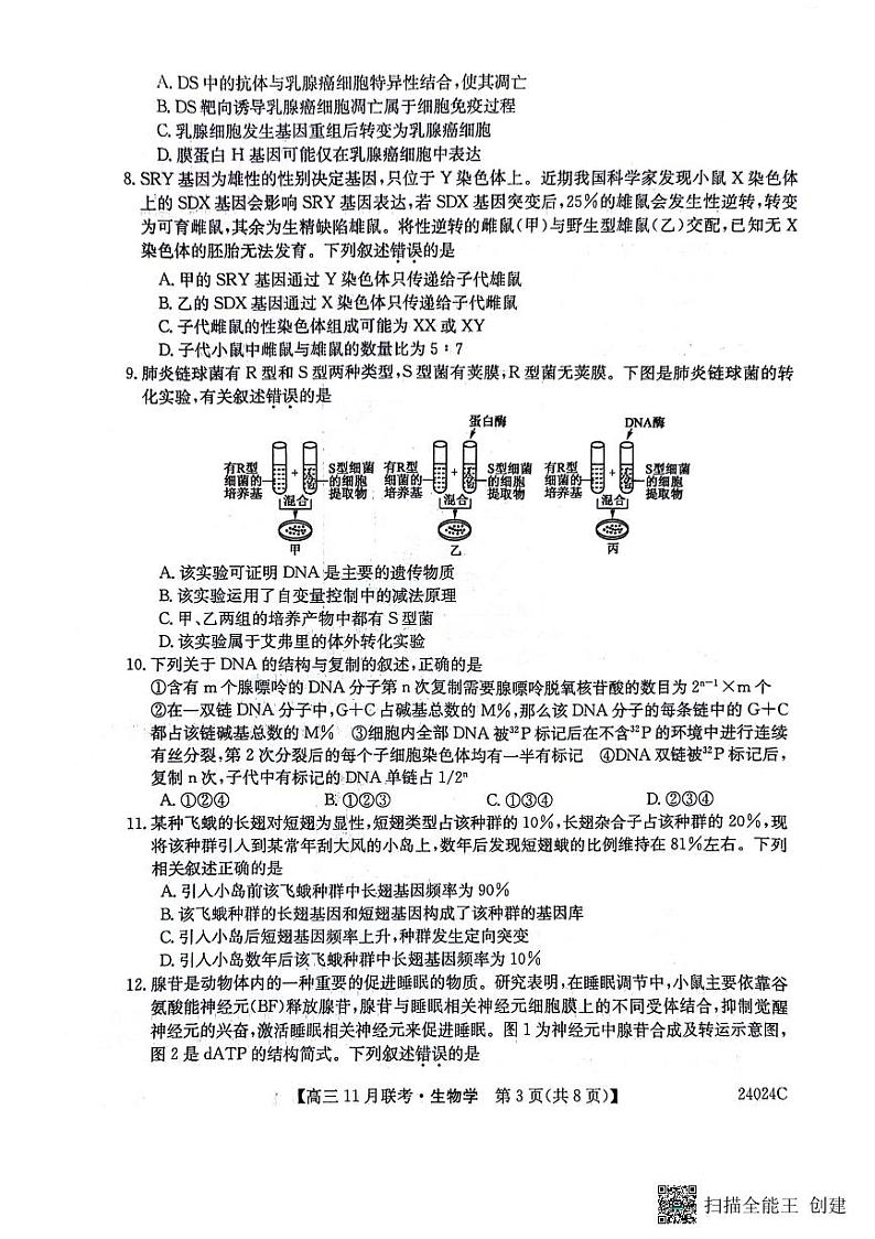 2024省齐齐哈尔普高联谊校高三上学期11月月考试题生物PDF版含答案03