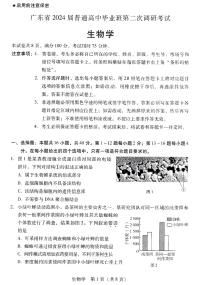 2024广东省普通高中（粤光联考）高三上学期第二次调研考试生物PDF版含答案