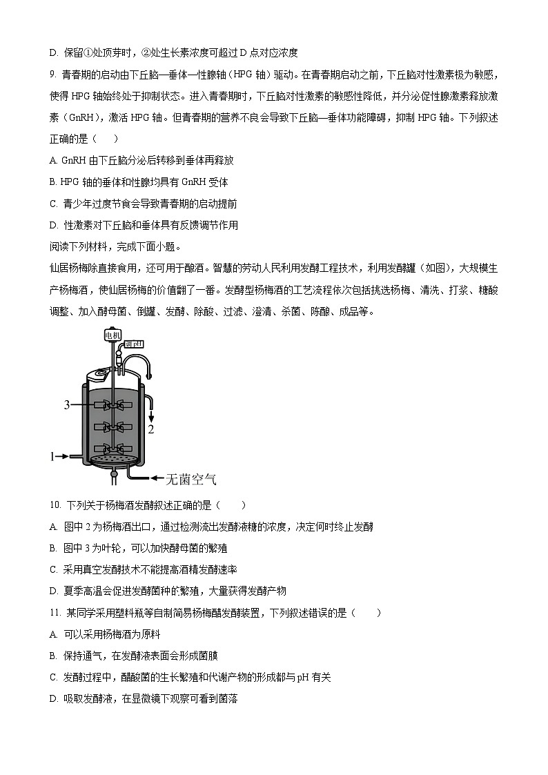 2024宁波北仑中学高二上学期期中生物试题含解析03