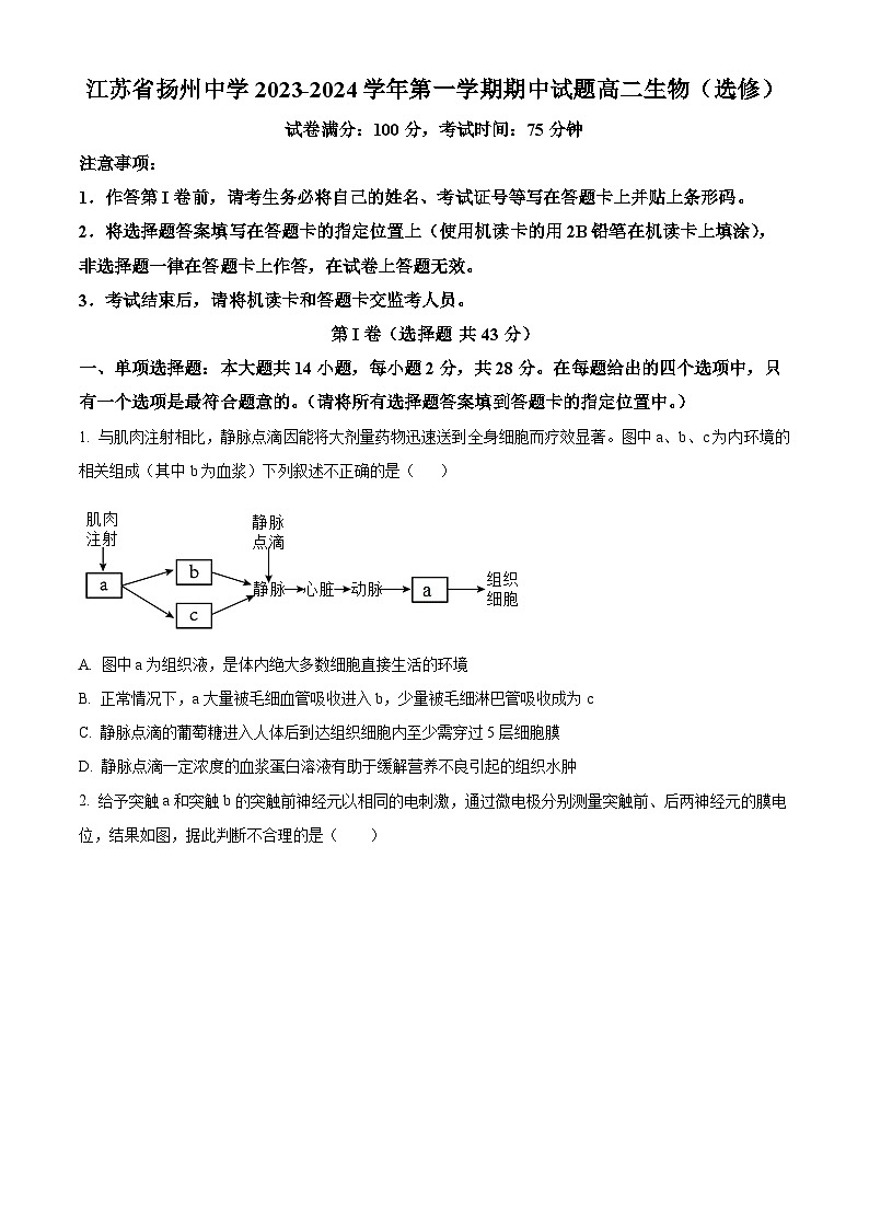 2024扬州中学高二上学期11月期中生物试题含解析01