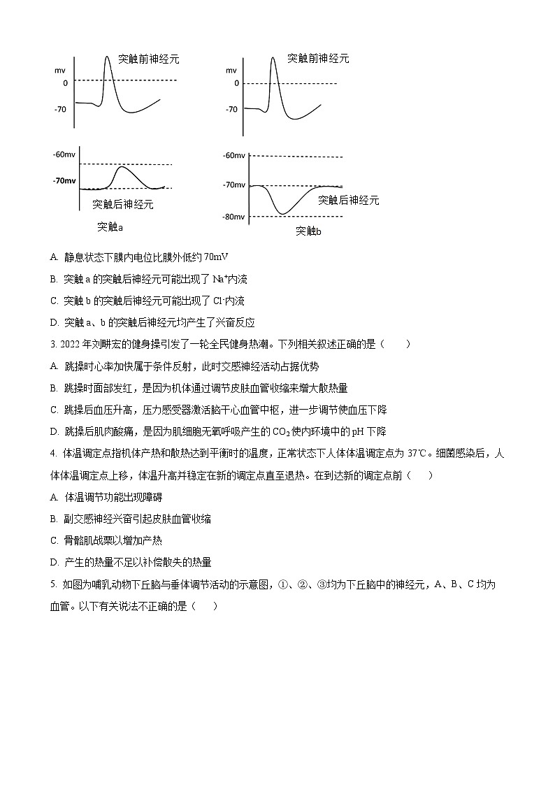 2024扬州中学高二上学期11月期中生物试题含解析02