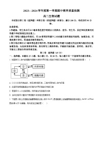 山东省聊城市2023-2024学年高二上学期11月期中生物试题（Word版附解析）